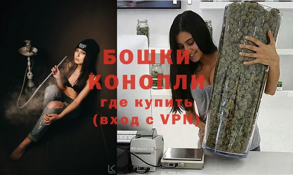 бошки Аркадак
