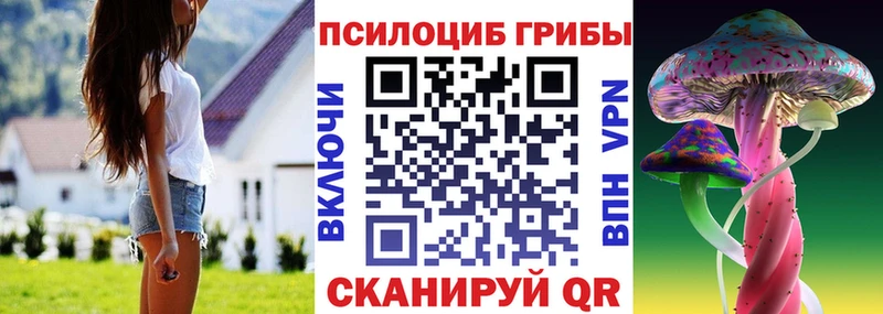 Псилоцибиновые грибы прущие грибы  блэк спрут онион  Аксай  купить  сайты 